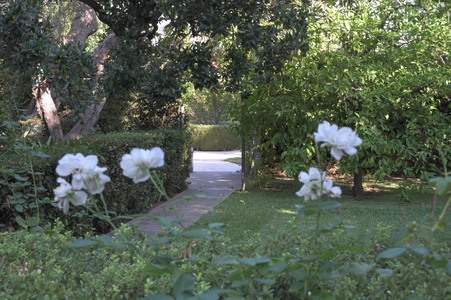 Enlarge photo 62