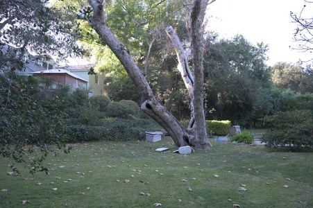 Enlarge photo 11