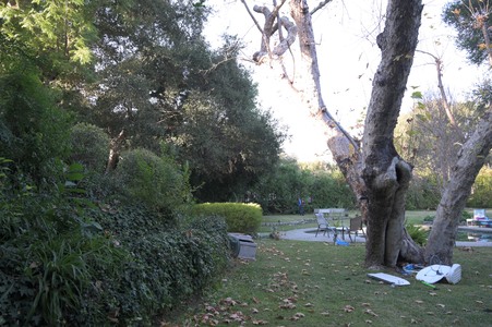 Enlarge photo 12