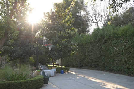 Enlarge photo 30