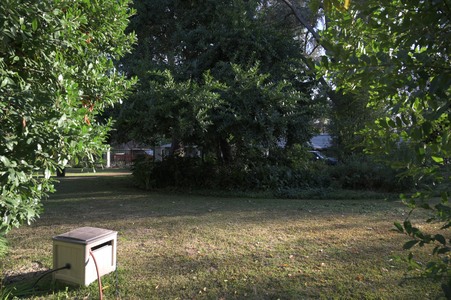 Enlarge photo 34