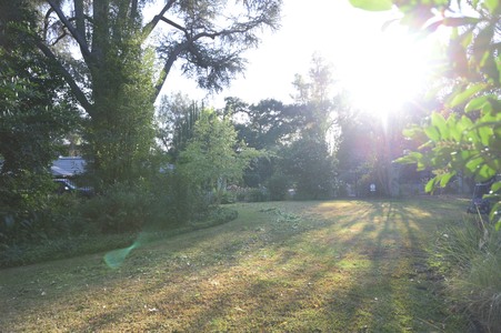 Enlarge photo 35