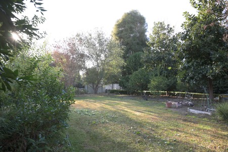 Enlarge photo 37