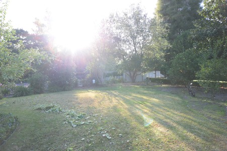 Enlarge photo 38