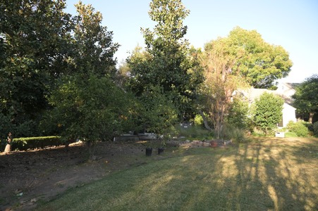 Enlarge photo 41