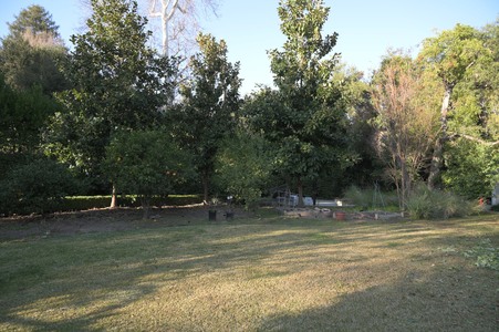Enlarge photo 43