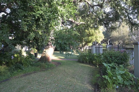 Enlarge photo 45
