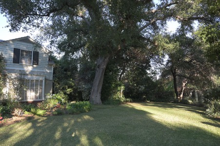 Enlarge photo 46