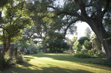 Enlarge photo 48