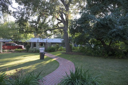 Enlarge photo 53