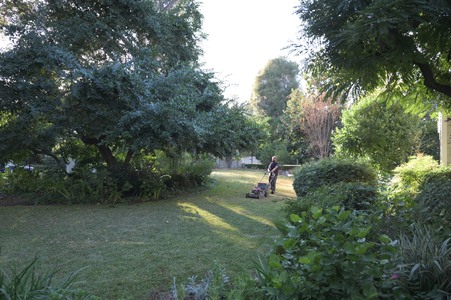 Enlarge photo 54