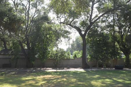 Enlarge photo 22