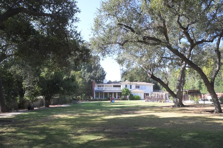 Enlarge photo 24