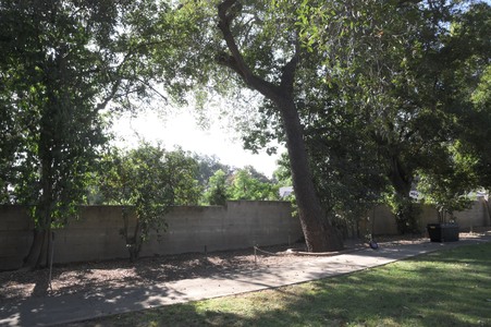 Enlarge photo 25