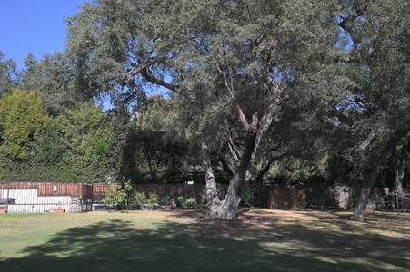 Enlarge photo 28