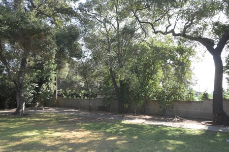 Enlarge photo 29
