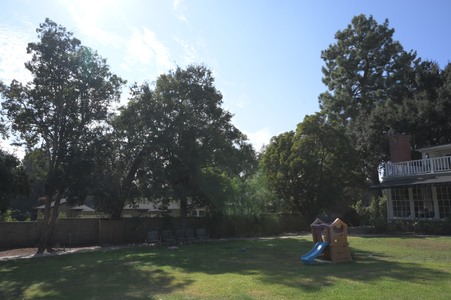 Enlarge photo 31