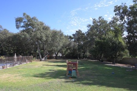 Enlarge photo 33