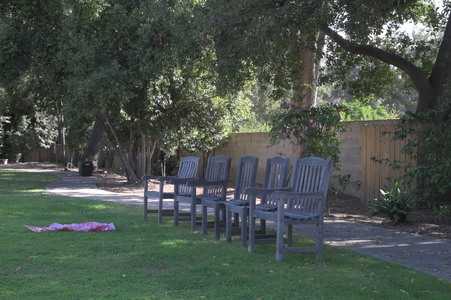 Enlarge photo 35