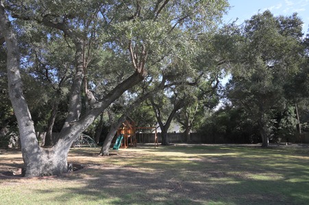 Enlarge photo 37