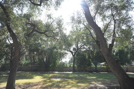 Enlarge photo 38