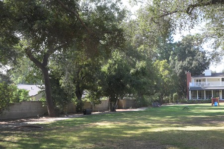 Enlarge photo 42