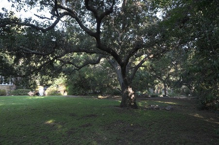 Enlarge photo 24