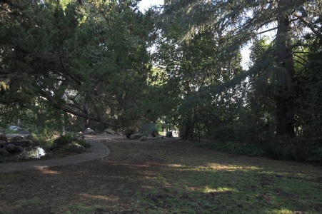 Enlarge photo 29