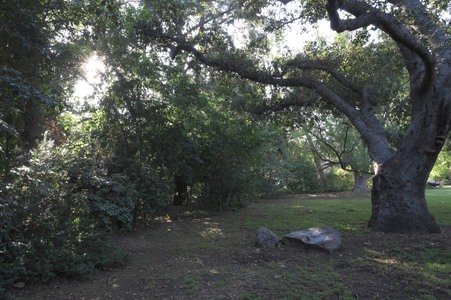 Enlarge photo 30