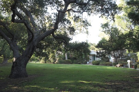 Enlarge photo 31