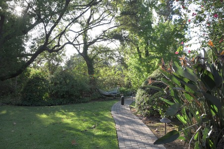 Enlarge photo 33