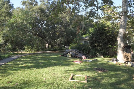 Enlarge photo 35