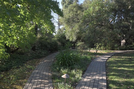 Enlarge photo 36