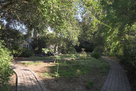 Enlarge photo 41