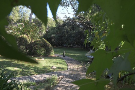 Enlarge photo 43