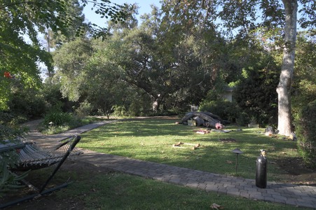 Enlarge photo 46