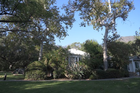 Enlarge photo 47