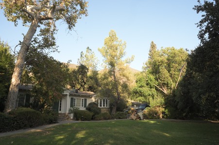 Enlarge photo 48
