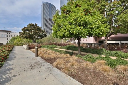 Enlarge photo 19
