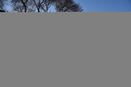 Enlarge photo 50