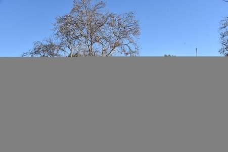 Enlarge photo 49