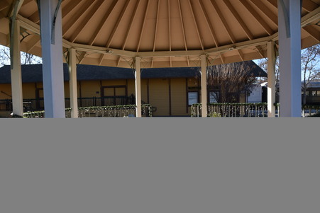 Enlarge photo 55