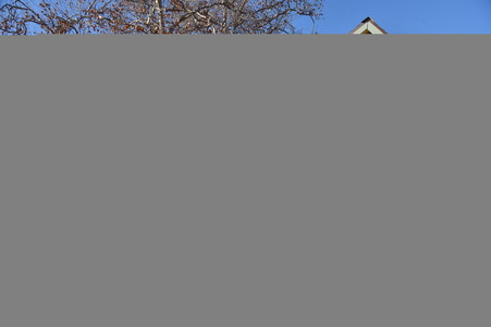 Enlarge photo 52
