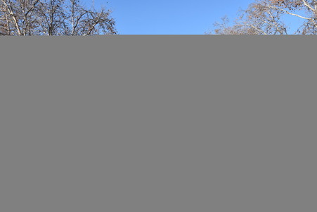 Enlarge photo 48