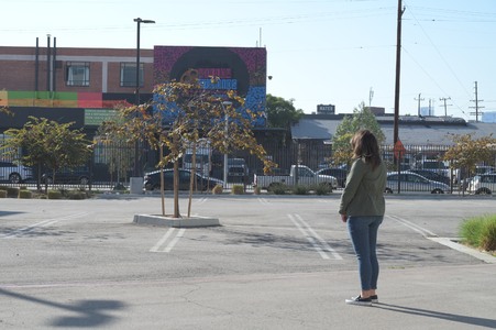 Enlarge photo 24