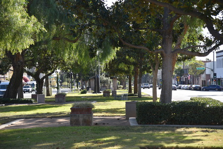 Enlarge photo 19