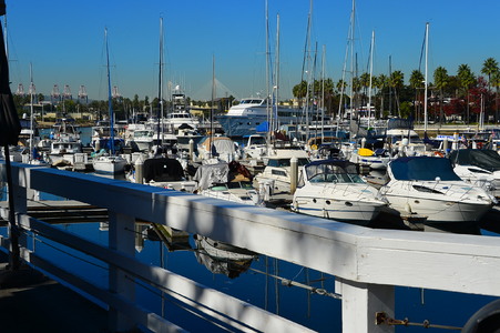 Enlarge photo 50