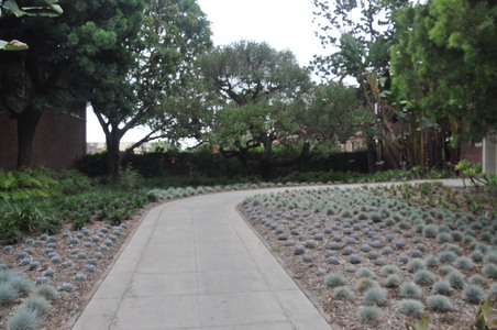 Enlarge photo 32