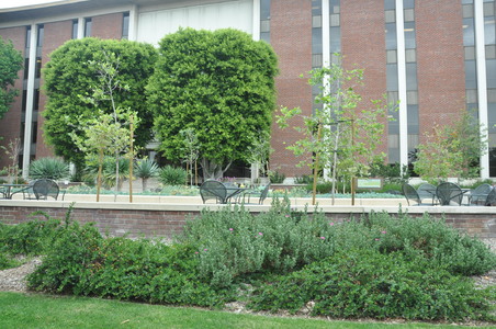 Enlarge photo 36