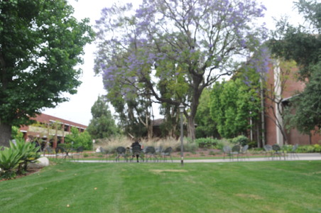 Enlarge photo 48